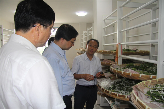 周勇到苏豪蚕种公司等企业开展“三严三实”专题调研