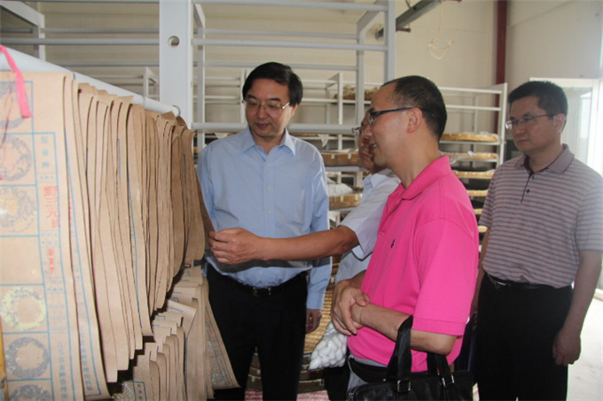 周勇到苏豪蚕种公司等企业开展“三严三实”专题调研