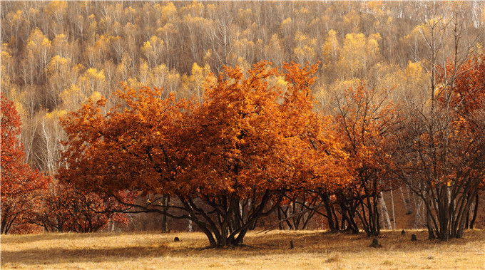 苏豪股份举办“不一样的今秋”摄影作品展