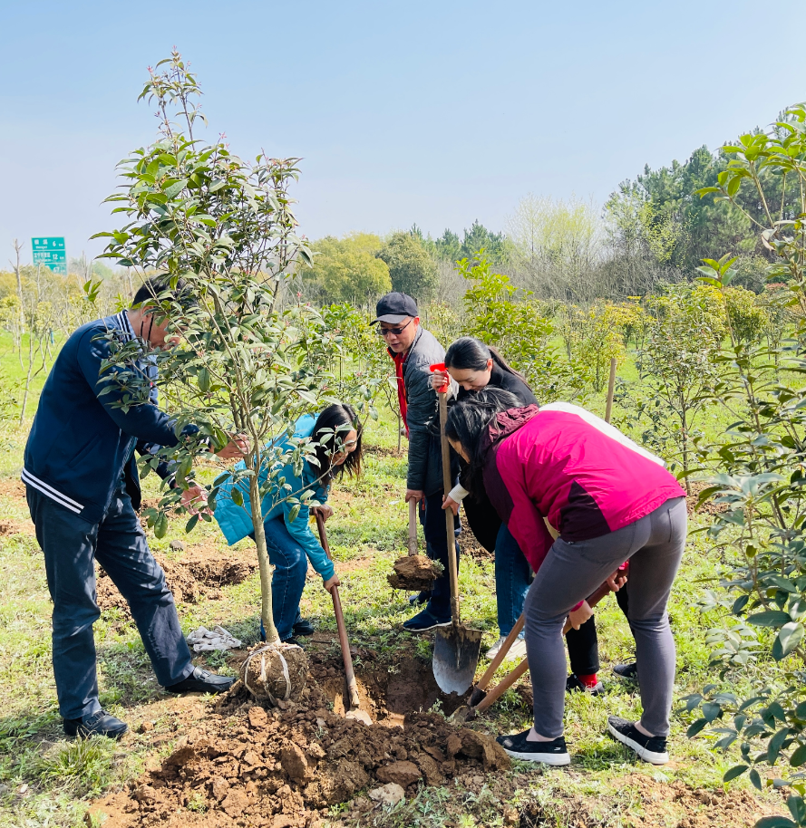 1683611675617327.png 植树1.png